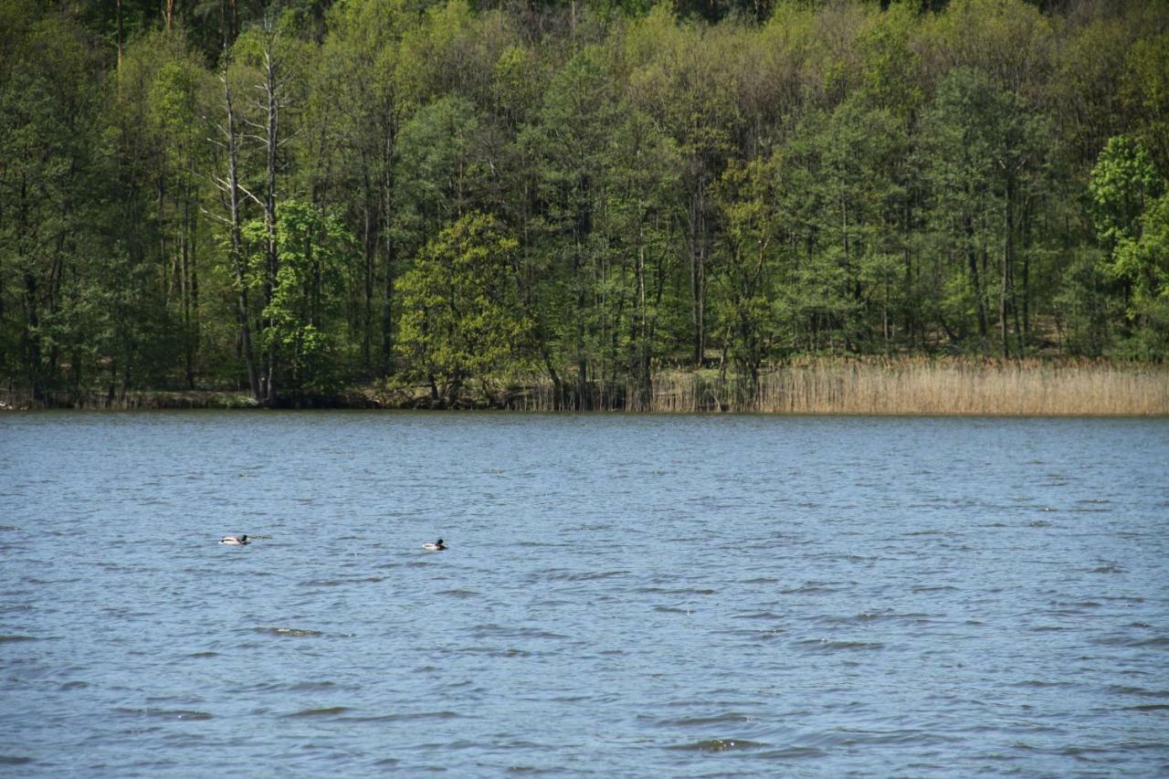 Lake View Apartamenty Brodnica  Exteriör bild